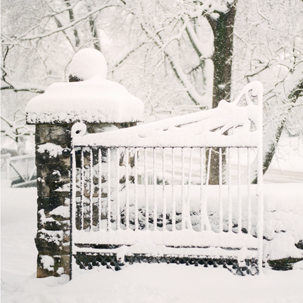 nashville film photographer, january snow