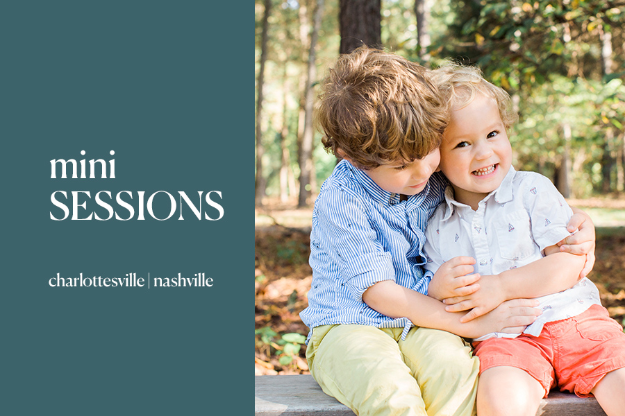 charlottesville and nashville fall mini sessions